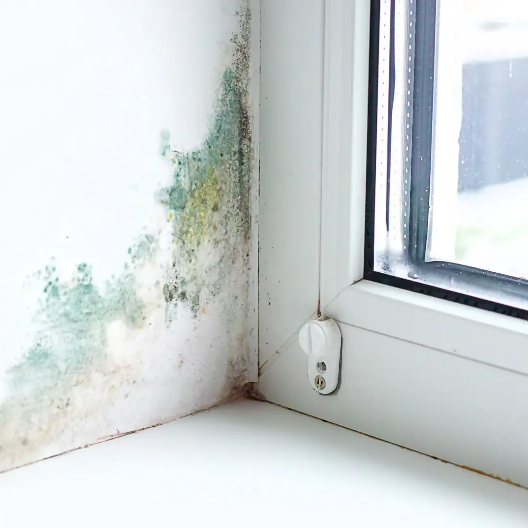 Windows Leak Repairs